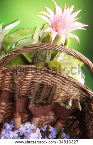 Garden tools and a bromeliad bloom