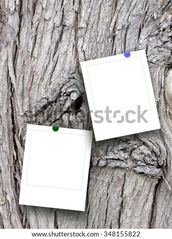 Double square empty photo frames with pins on dark brown tree bark background 