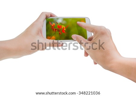 Holding a smart phone for take a photo, Take a photo of flower.