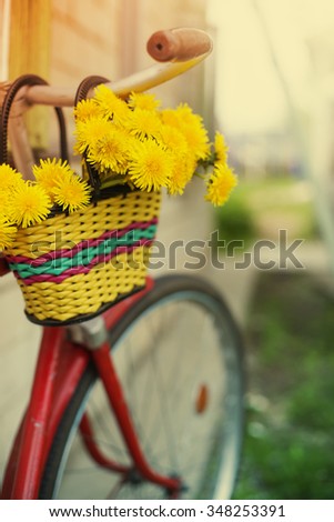 Vintage Bicycle with flowers (toned picture)