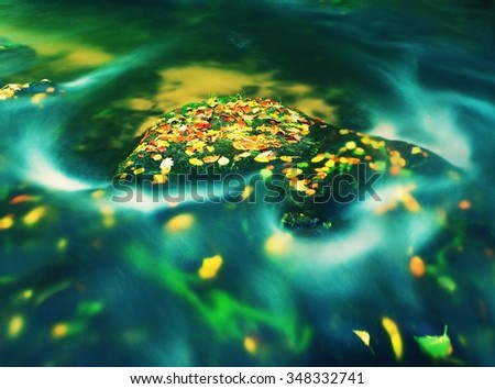 Colorful aspen leaves on boulder in mountain stream. Cold water blurred by long exposure, blue reflection in water level. 