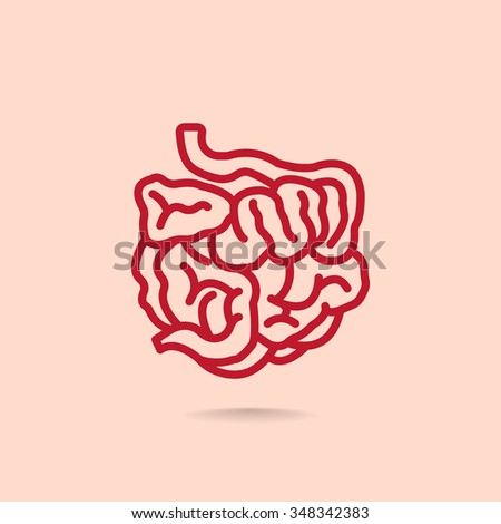 small intestine icon