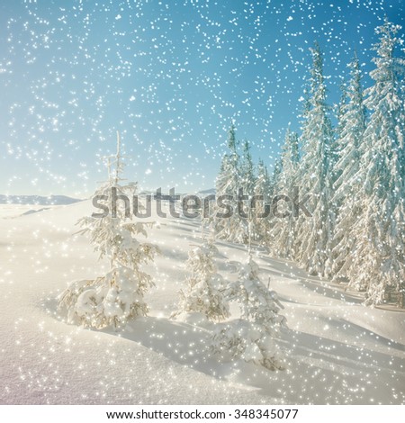 magical winter landscape, background with some soft highlights and snow flakes