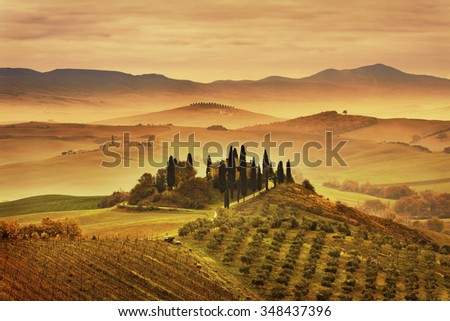 Tuscany foggy morning, farmland and cypress trees country landscape. Italy, Europe. Royalty-Free Stock Photo #348437396