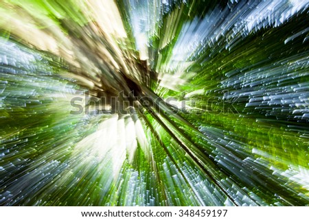 abstract blur palm tree