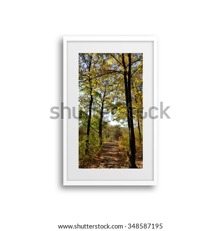 Colorful autumn landscape, scenery poster in frame