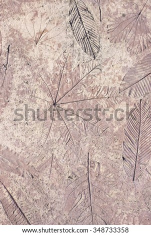 Concrete floors with designs of leaves.