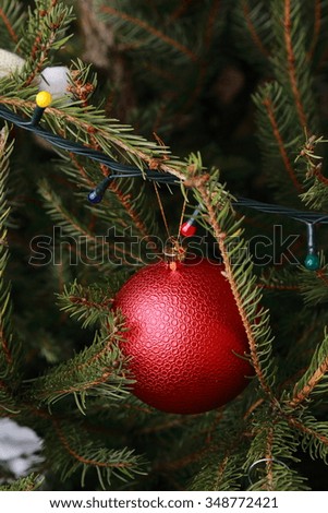 Christmas tree branch with red ball/hanging Christmas decoration