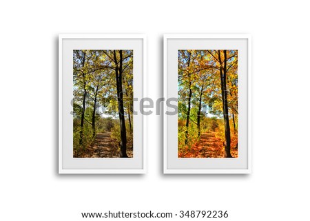 Autumn landscape,scenery posters  in frames