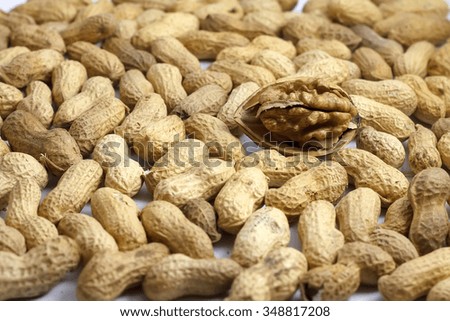 healthy tasty nourishing walnut and peanuts isolated on white background