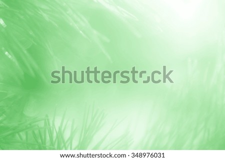 Abstract blur of a green background color, natural forest