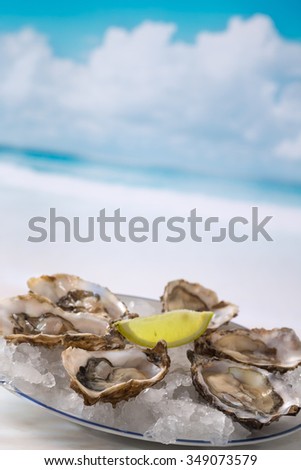 French appetizer oysters 