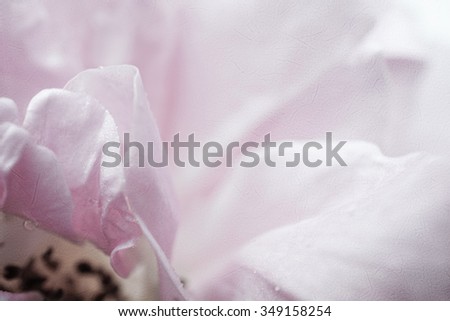 sweet pink rose petals in soft color on mulberry paper texture for romantic background