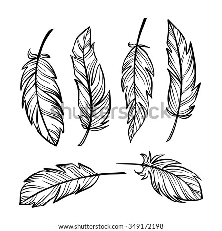 Vintage hand-drown feathers set isolated on white background. 