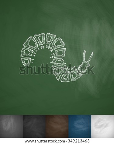 caterpillar icon. Hand drawn vector illustration. Chalkboard Design