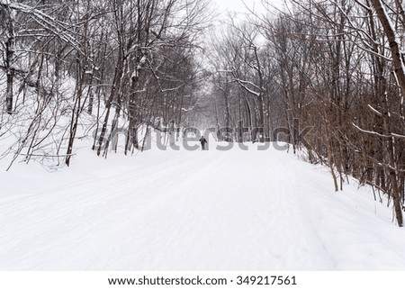 people skiing in the Mont-royal park of Montreal under a snow storm in canada