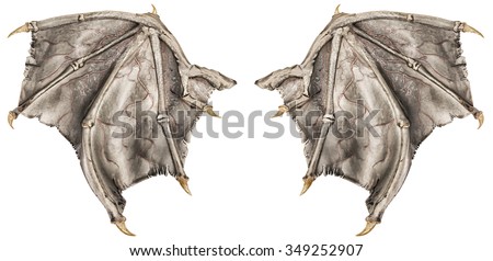 Dragon wings Royalty-Free Stock Photo #349252907