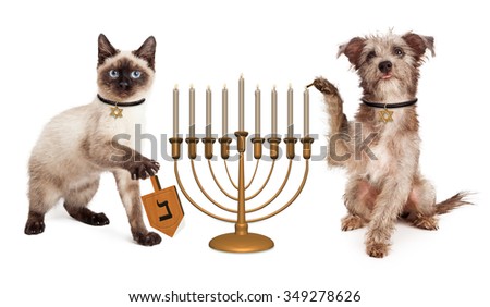 Cute puppy dog lighting a menorah candelabrum and a kitten spinning a wooden dreidel in celebration of the Jewish Hanukkah holiday
