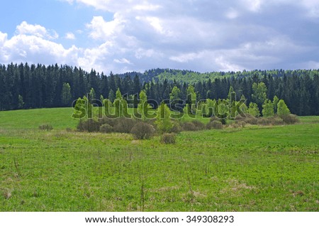 Fresh spring view on meadow and forest