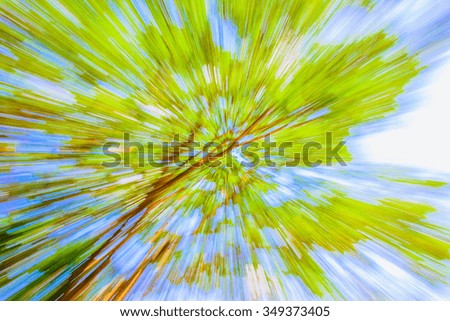 Abstract motion blur of tree background