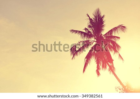 Silhouette tropical palm tree.Retro color style.
