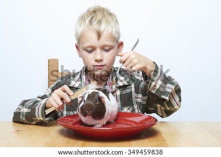 Child blond boy sitting at the table getting ready to eat with cutlery the cavy or domestic guinea pig (Cavia porcellus, raw meat) sitting on a red plate