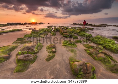 beautiful green moss foreground at Terongkongan Beach Kudat