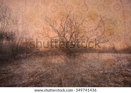 A warm toned abstract background photo composite of a bare tree in a field. 