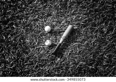 baseball equipment on lawn, model figure