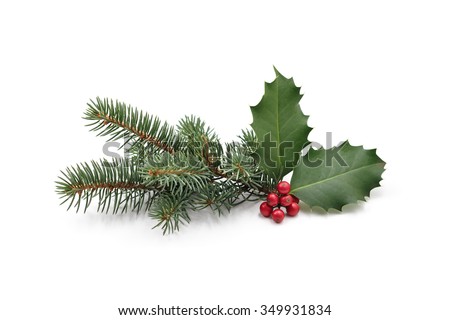 Christmas decoration of holly berry and pine tree