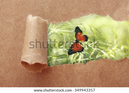 Paper frame with beautiful nature background