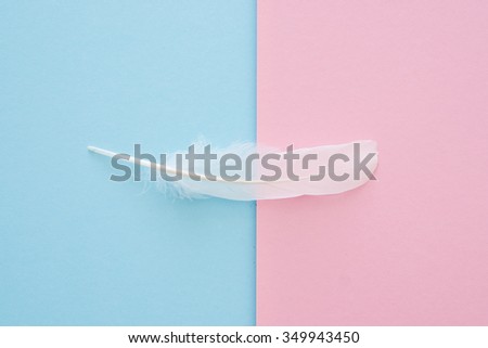 white feather on blue and pink paper background - trend colors 