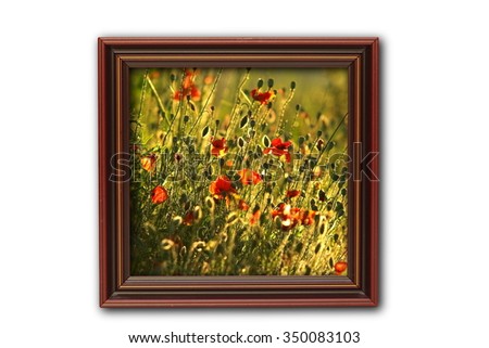 image with poppies on wood frame, isolation over white background