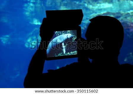 Photographing a seal aquarium.
Silhouette of a man shooting a seal with a tablet aquarium