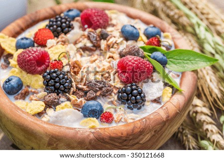 Fresh granola with berry fruits and milk in garden