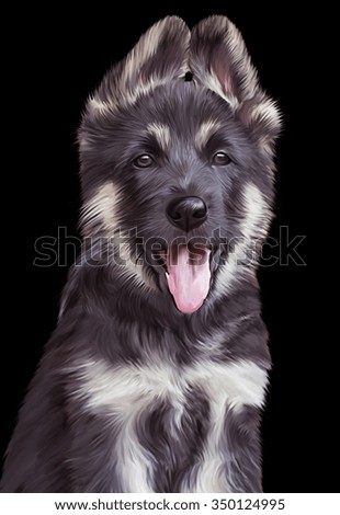 Drawing puppy German Shepherd Dog, portrait on a black background
