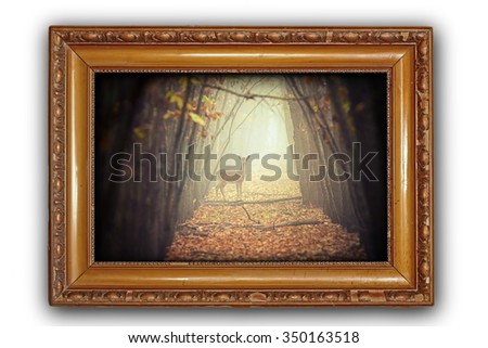 beautiful image with fallow deer doe standing in misty forest, old wooden frame