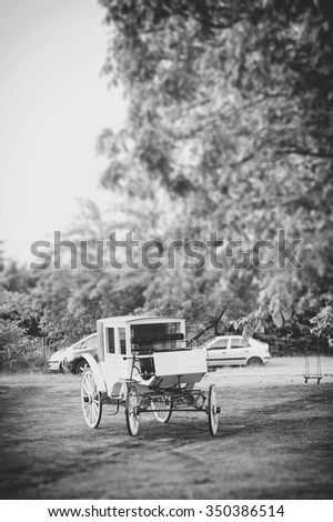 an image of traditional carriage in a clearing