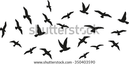 Flock of flying birds