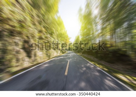 Sunset forest roads
