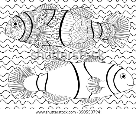 Clownfish with high details. Adult antistress or children coloring page. Black white hand drawn doodle oceanic animal. Sketch for tattoo, poster, print, t-shirt in zentangle style. Vector illustration