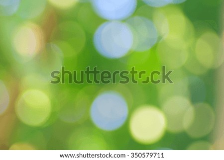 Sunny Bokeh in the forest.