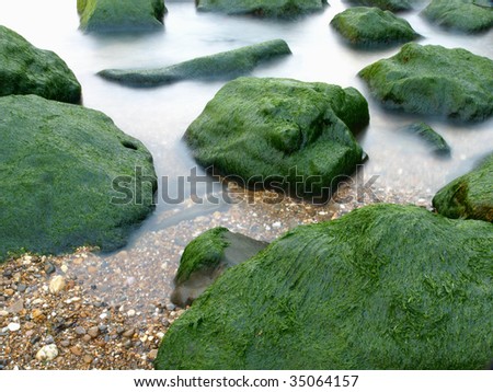 Green rocks in the surf where te river meets the ocean