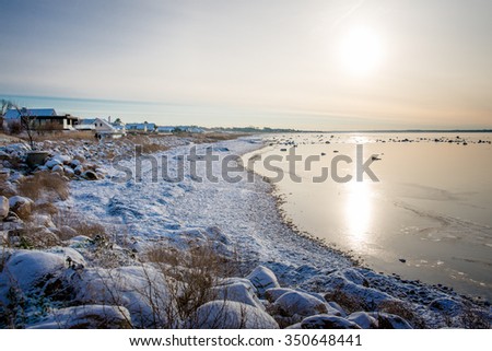winter landscape with a sea view