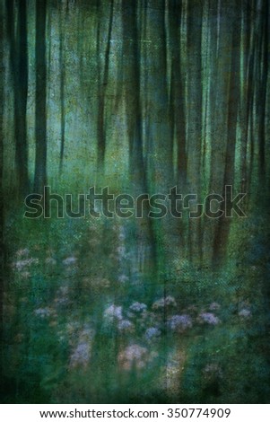 picture of forest