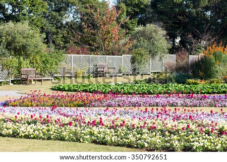 Spring in park with white, pink, purple and blue flowers.  viola,pansies.
