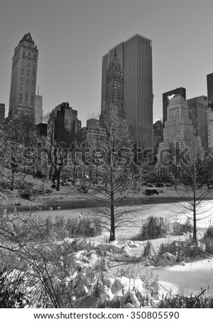Central Park in the winter, New York City
