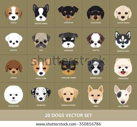 Set of Dogs Vector Illustration. 20 Puppy