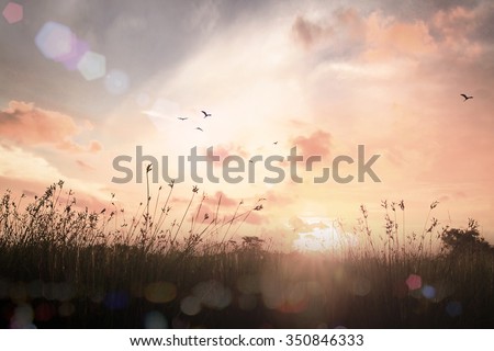 Calm concept: Vintage style, abstract beautiful meadow landscape autumn sunset background Royalty-Free Stock Photo #350846333
