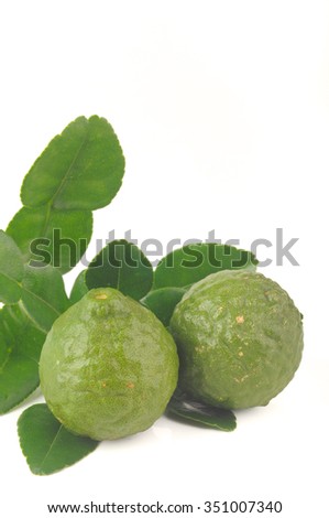 Kaffir Lime with leaves (shallow depth of field)